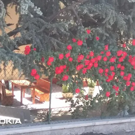 Lilli フェラーラ