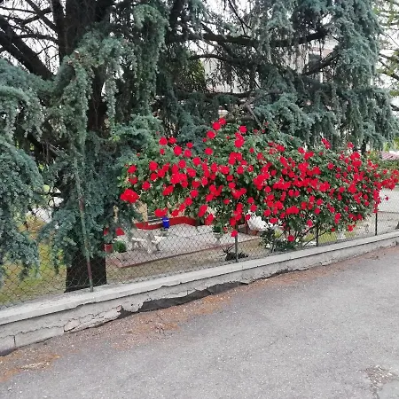 Apartman Lilli