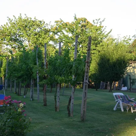 Lilli * フェラーラ