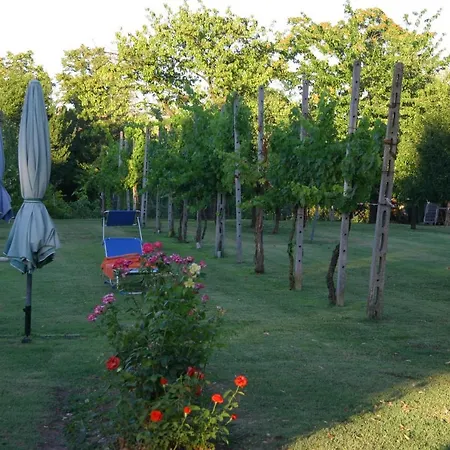 Apartman Lilli