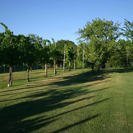 アパート Lilli *