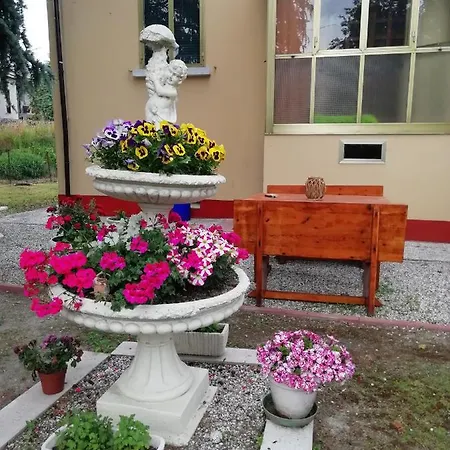 Lilli * フェラーラ