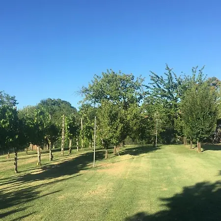 Lilli * フェラーラ