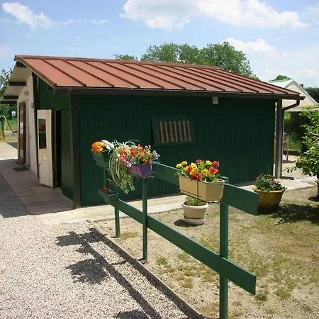 Lilli * フェラーラ