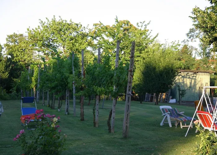 Lilli * Φεράρα