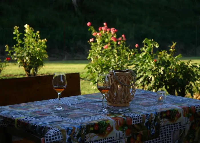 Lilli * Φεράρα