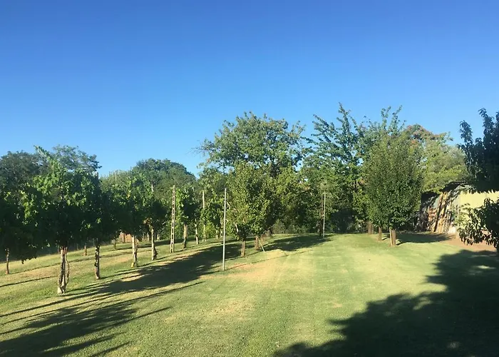 Lilli * Φεράρα