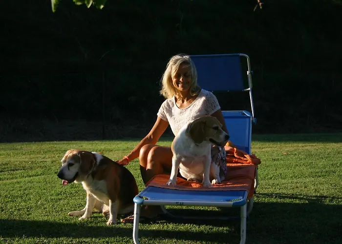 Lilli Διαμέρισμα