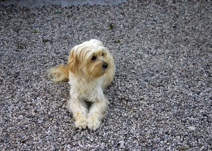 Διαμέρισμα Lilli